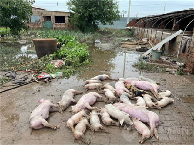 山西水灾现场：住房地基塌陷 牲畜死伤惨重 村中停水停电