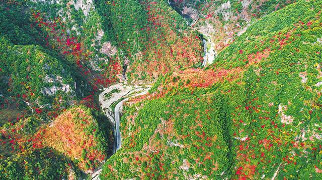 在国家级传统村落卢氏县文峪乡大桑沟村，蜿蜒的公路穿行在峡谷之间，呈现出一派色彩斑斓的秋日美景（10月6日摄）。（聂金锋摄）