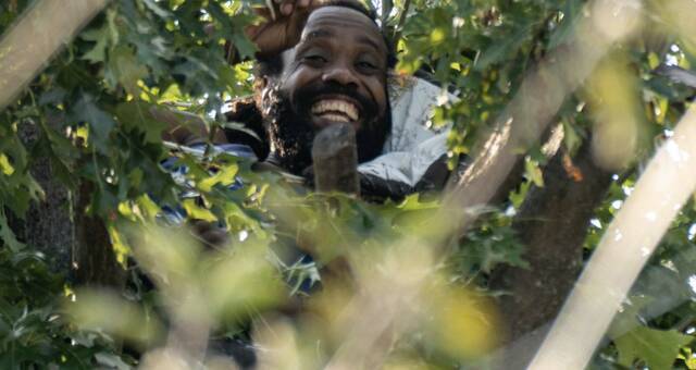 现实版“人猿泰山”？纽约一男子爬树上与警察对峙 一待就是近三天