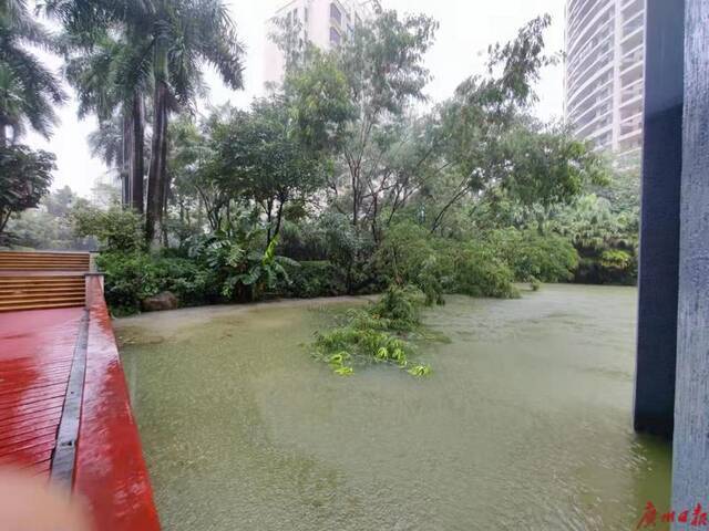 珠海暴雨预警升级为红色 公交全线停运、学校停课