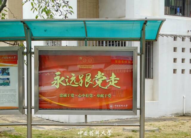 争创文明典范城市，药大人在行动