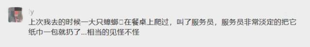 倒胃口！上海南京东路知名商场内一餐厅 老鼠从天而降 上蹿下跳...