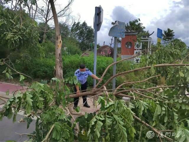 市政工作人员扶正树木，交警协助清理路面。