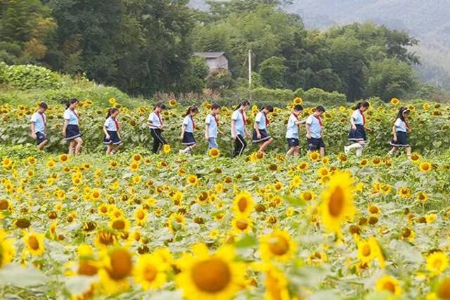 秋季游玩去哪儿？国家部委推介！浙江3条线路22个精品景点入选