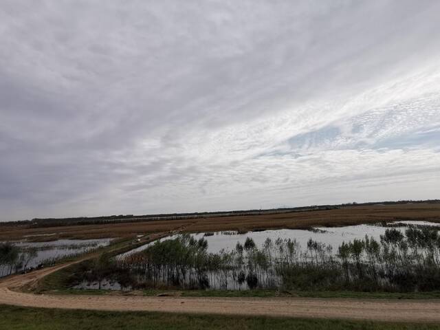 被水淹的田地