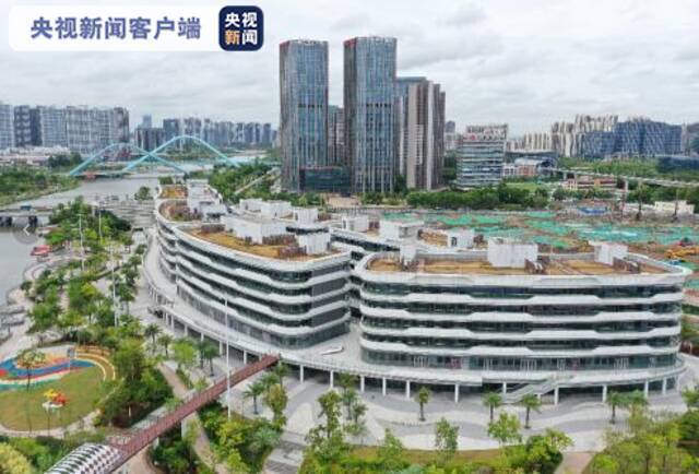 广州南沙打造内地首个香港工商专业社团集聚平台