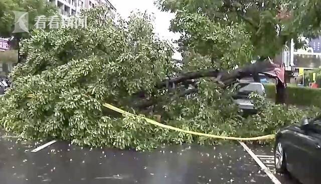 视频｜“圆规”逼近！狂风骤雨，台湾频频出现