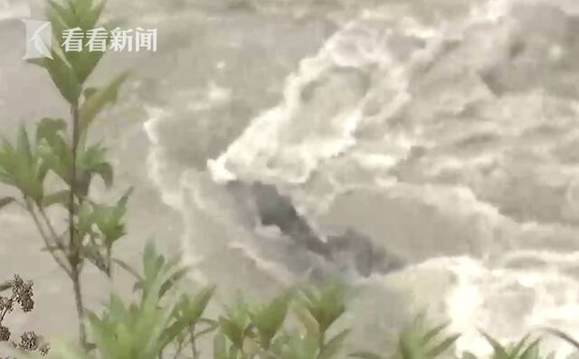 视频｜“圆规”逼近！狂风骤雨，台湾频频出现