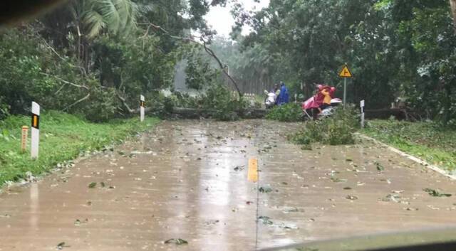 琼海市白石岭景区到阳江镇路段多处大树倒塌，道路已经无法通过