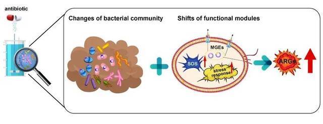 哈工大这项研究为解决抗生素带来的环境风险提供新方案