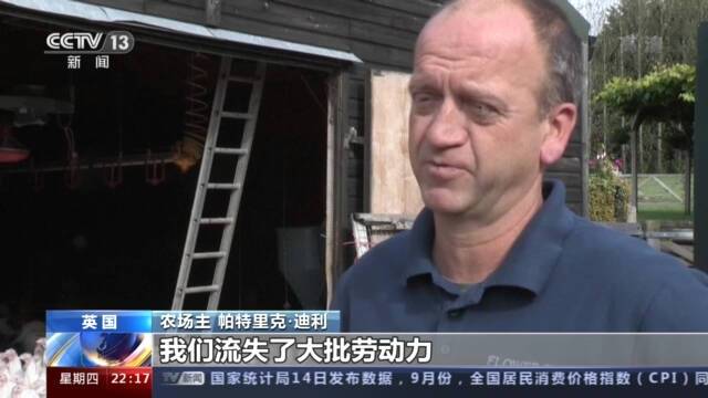 供应链危机致大量货物积压在港口 美英出现商品短缺现象