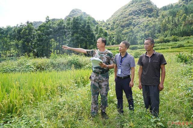 图为南丹县纪委监委工作人员正在六寨镇陋里村实地查看项目整改落实情况。（容留/摄）