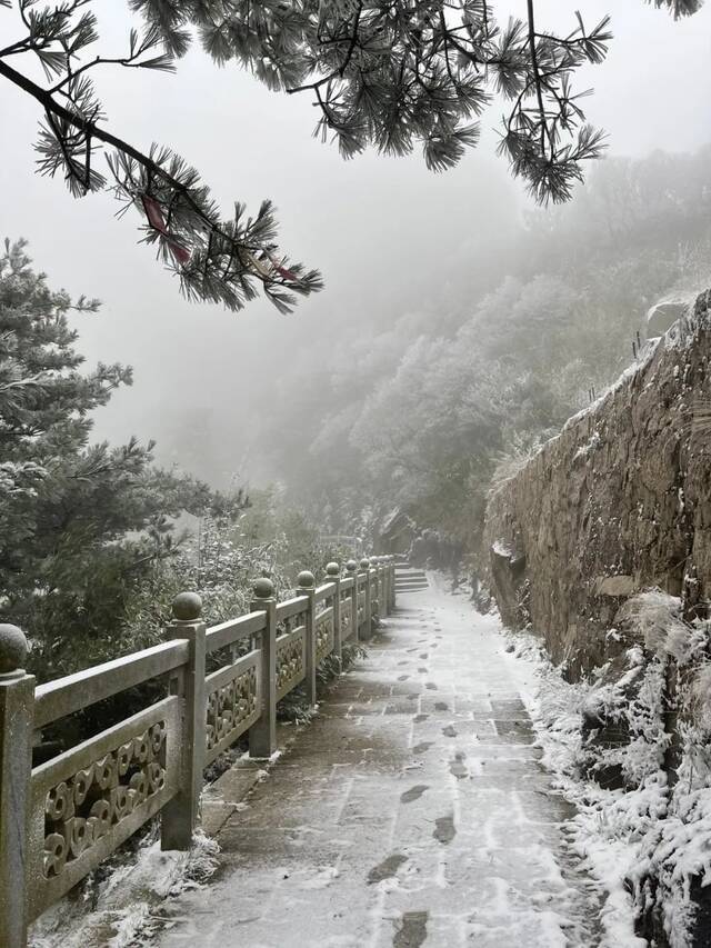 入秋后 河南第一场雪来了！