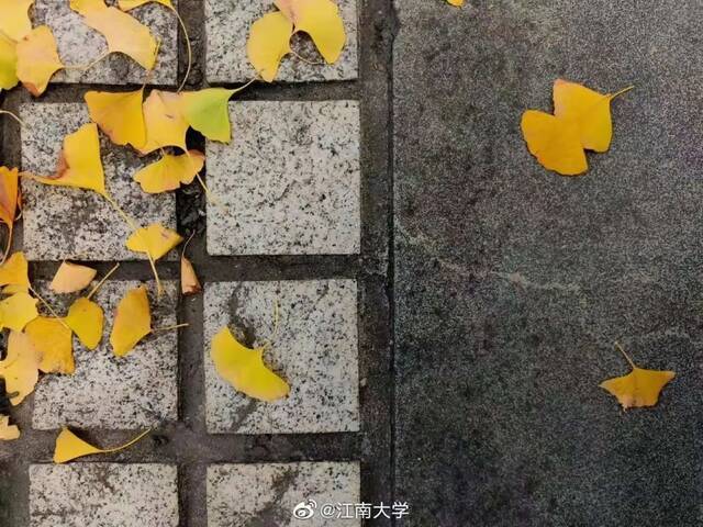 秋天的江南，“果”然有趣！