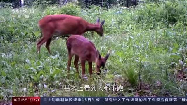 昆明大会，能改变生物多样性的未来吗？