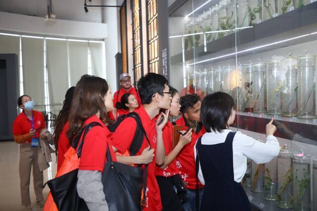 新闻  2021年“感知中国”上海国际学生文化体验营开营