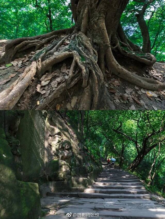 黄桷古道张坤琨摄