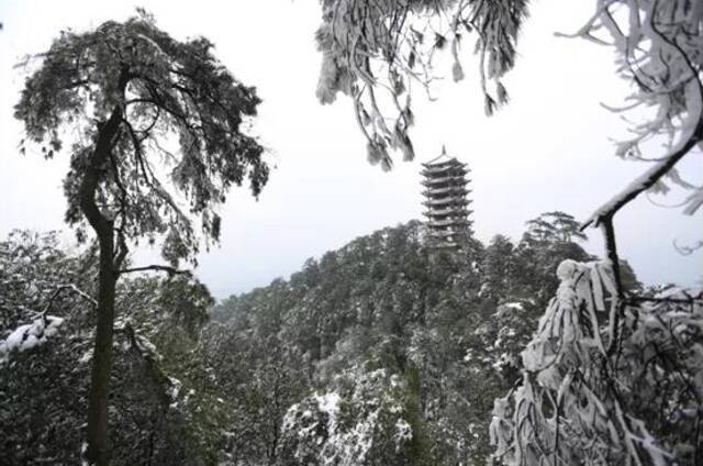 大雪中的缙云山（2016年1月）罗大万摄