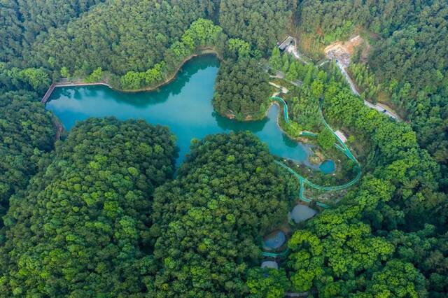 北碚区缙云山黛湖秦廷富摄