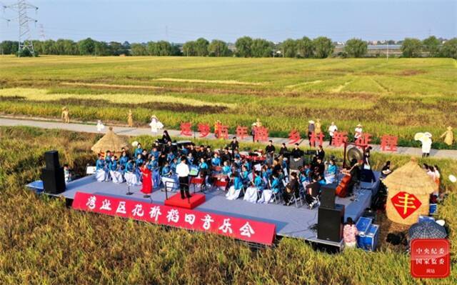 安徽省芜湖市湾沚区举办稻田音乐会，高雅的艺术与丰收的田野在这里完美结合，让当地群众饱尝文化大餐。(安徽省芜湖市湾沚区纪委监委许孝平摄)