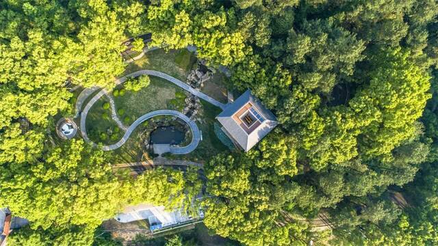 缙云山北碚片区腾龙垭生态修复后秦廷富摄