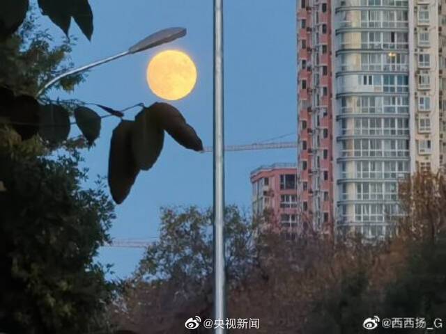 北京夜幕上空高高挂起一轮澄黄如金的圆月