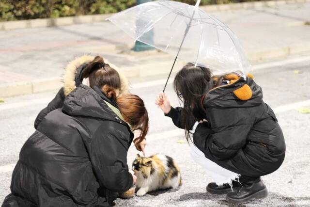 齐了！中财大的云霞雪月……