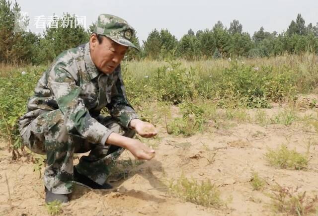 视频｜时代楷模张连印身患癌症 依旧坚守植树造林一线