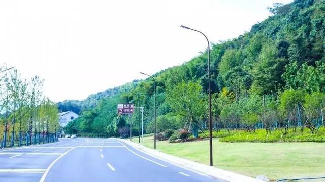 高颜值！浙江又有2条公路入选“全国美丽乡村路”，你走过吗？