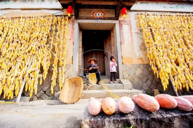 在福建省尤溪县，满院瓜果展现秋收风情，农人手中竹篾翻飞，藏不住心中丰收的喜悦。（福建省尤溪县纪委监委供尤瑞贤摄）