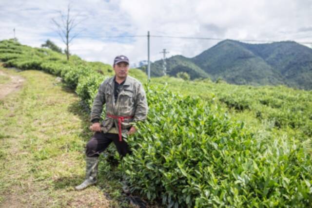 曾多次参与巡边任务的格林村村民桑杰达瓦在自家的茶园中。绰号“好人”的桑杰达瓦腰间别着一把门巴族的传统砍刀，象征着该民族以打猎为生的历史。单劼摄