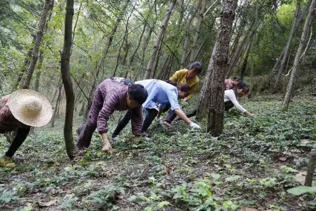 连续6次！中国药科大学再获教育部直属高校精准帮扶典型项目