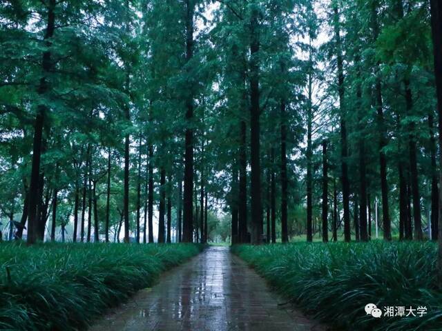 10月21日  星期四  雨