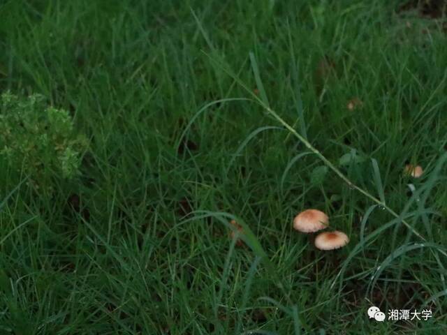 10月21日  星期四  雨