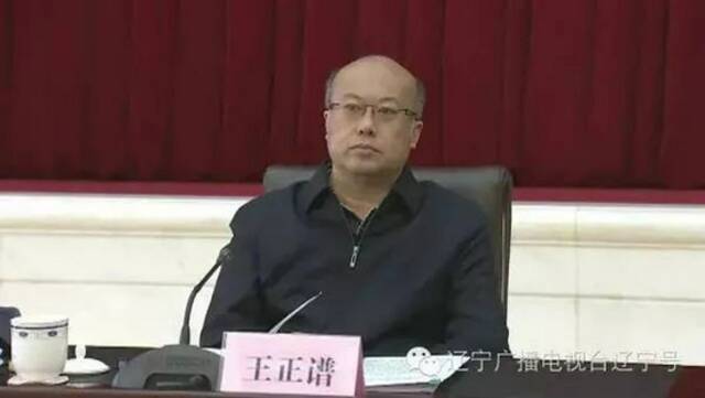 王正谱任河北省副省长、代理省长