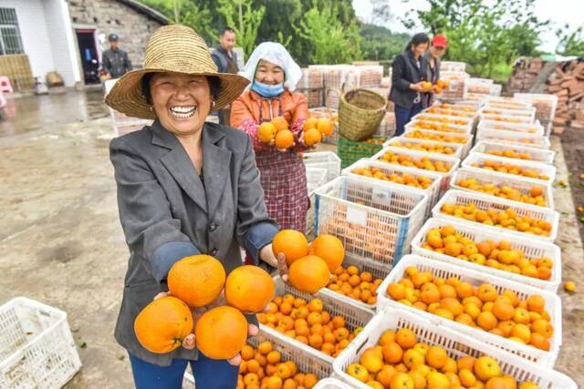 春橙图：开州发布