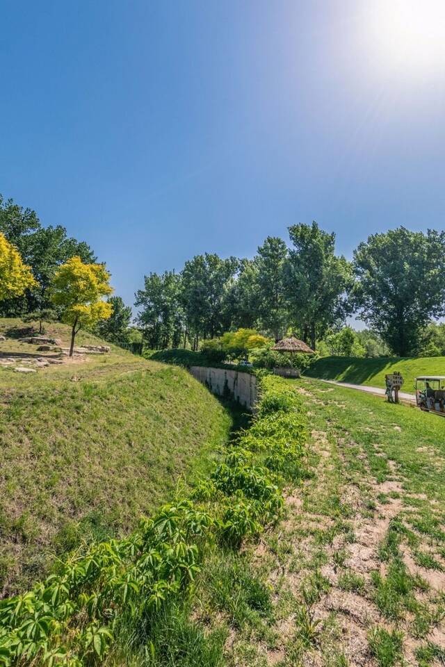 事发地，左侧为白虎展区，中间为隔离沟，右侧为自驾线路，路旁设置了“匀速行驶，请勿下车”警示牌。北京野生动物园VR全景截图