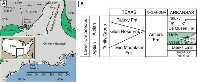 美国南部发现2个1亿年前的新物种：Sciroseps pawhuskai和Anomoeodus caddoi
