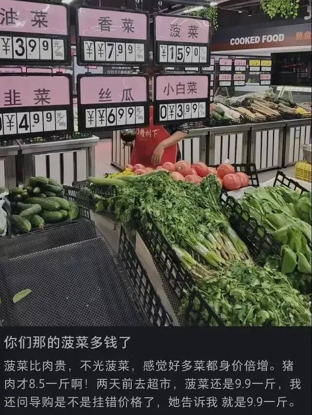 一餐蔬菜花近30元！菜比肉还贵 啥原因？