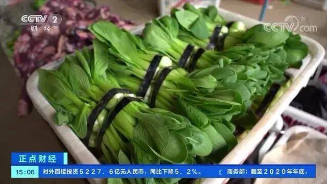 一餐蔬菜花近30元！菜比肉还贵 啥原因？