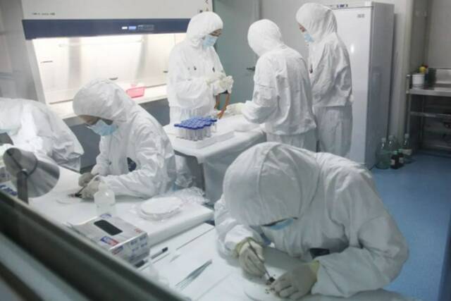 军事科学院军事医学研究院王升启团队正在开展DNA鉴定工作。军事医学研究院供图