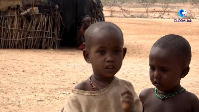 全球连线丨肯尼亚旱情持续 210万人面临饥荒