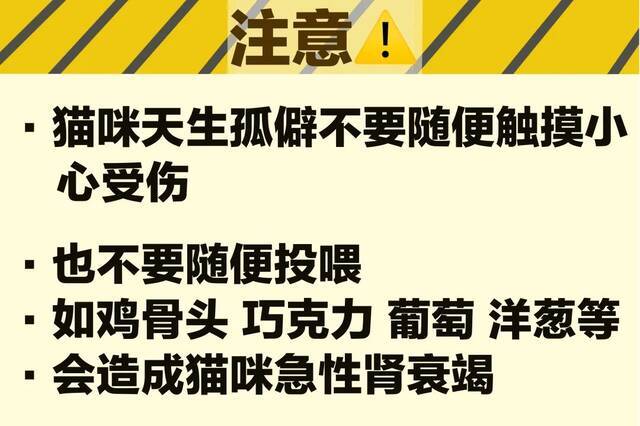 科科认证！青科喵喵们也有身份证啦~