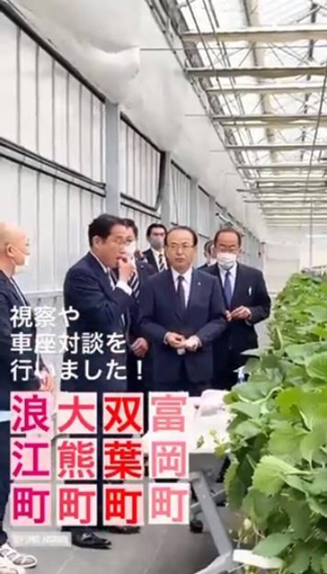 岸田试吃福岛生产的草莓（日本首相官邸推特截图）