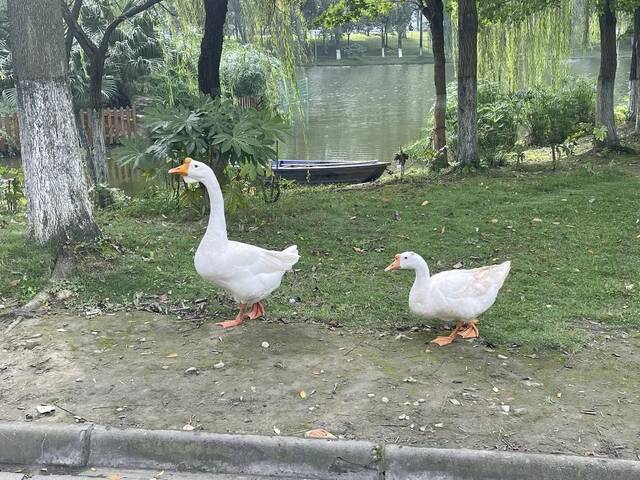 太阳都出来了，还要什么标题！