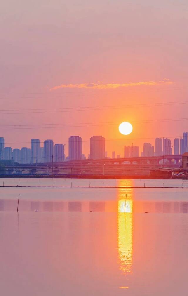 ▲野芷湖日落时分（董超摄）