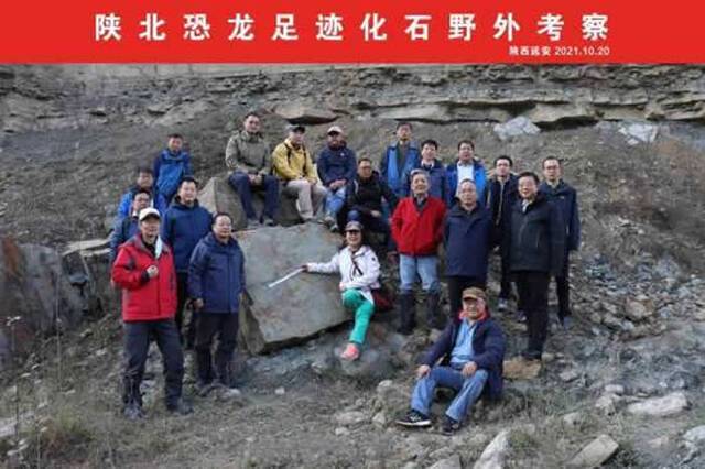 陕西省地质调查院在陕北发现多处重要恐龙足迹化石