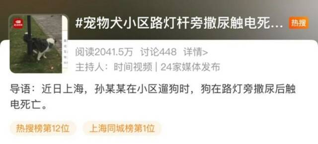 上海一宠物犬路灯旁撒尿触电死亡，主人索赔5万元！责任谁来担？