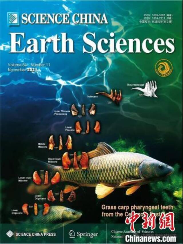《中国科学：地球科学》发表文章封面。中科院古脊椎所供图