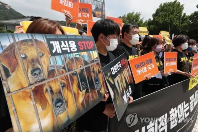 韩国动物保护团体反对食用狗肉资料图